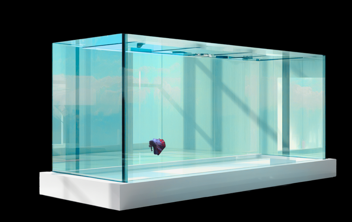 Ein modernes, transparentes Aquarium mit klarem Wasser und einem zentralen Wasserobjekt.